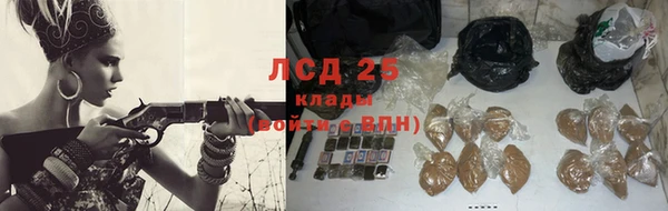 сатива Баксан