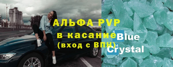 сатива Баксан