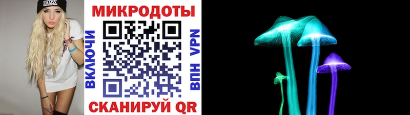 Псилоцибиновые грибы прущие грибы  Баксан 